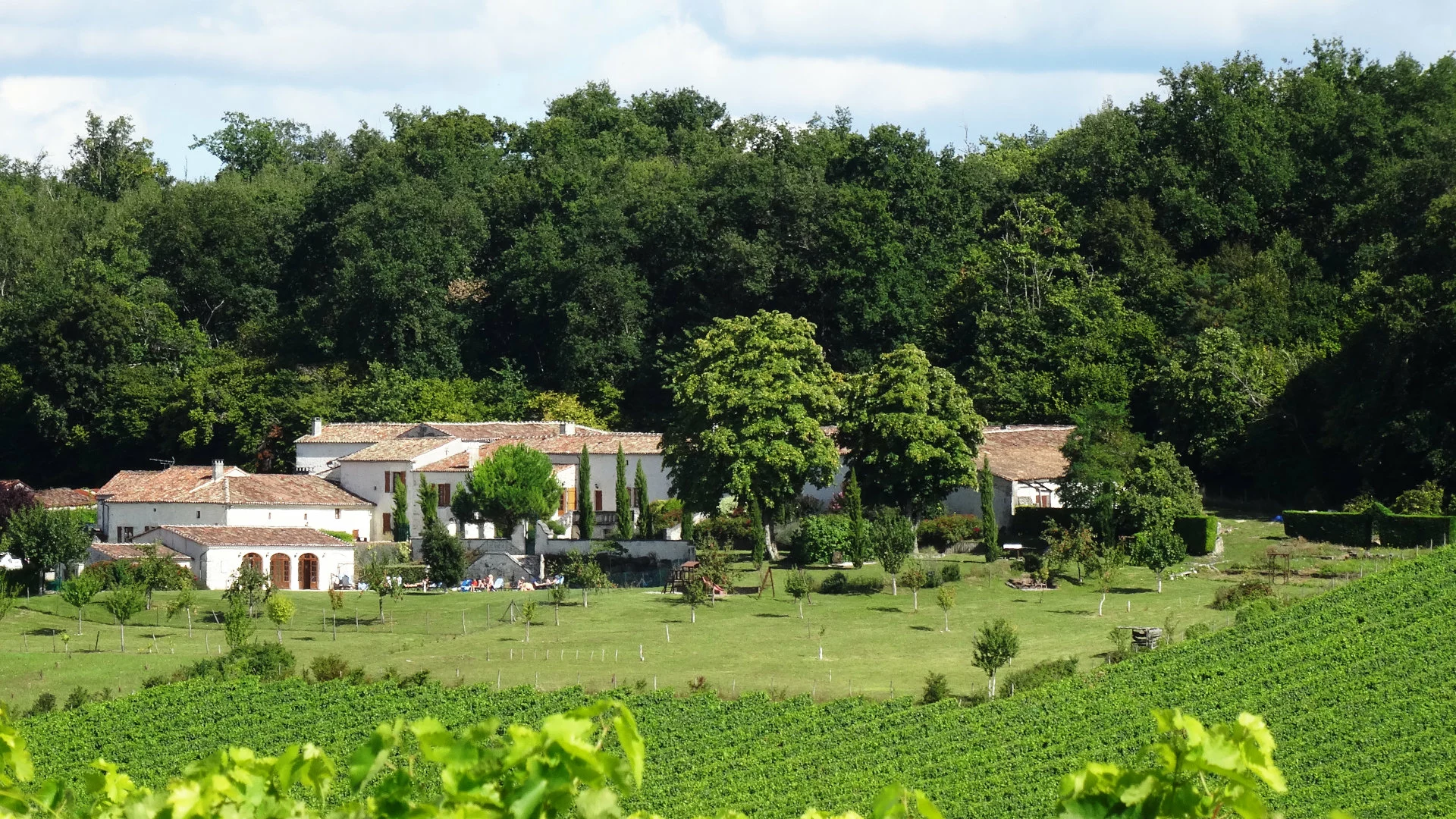 Maison d'hôtes en Grande Champagne