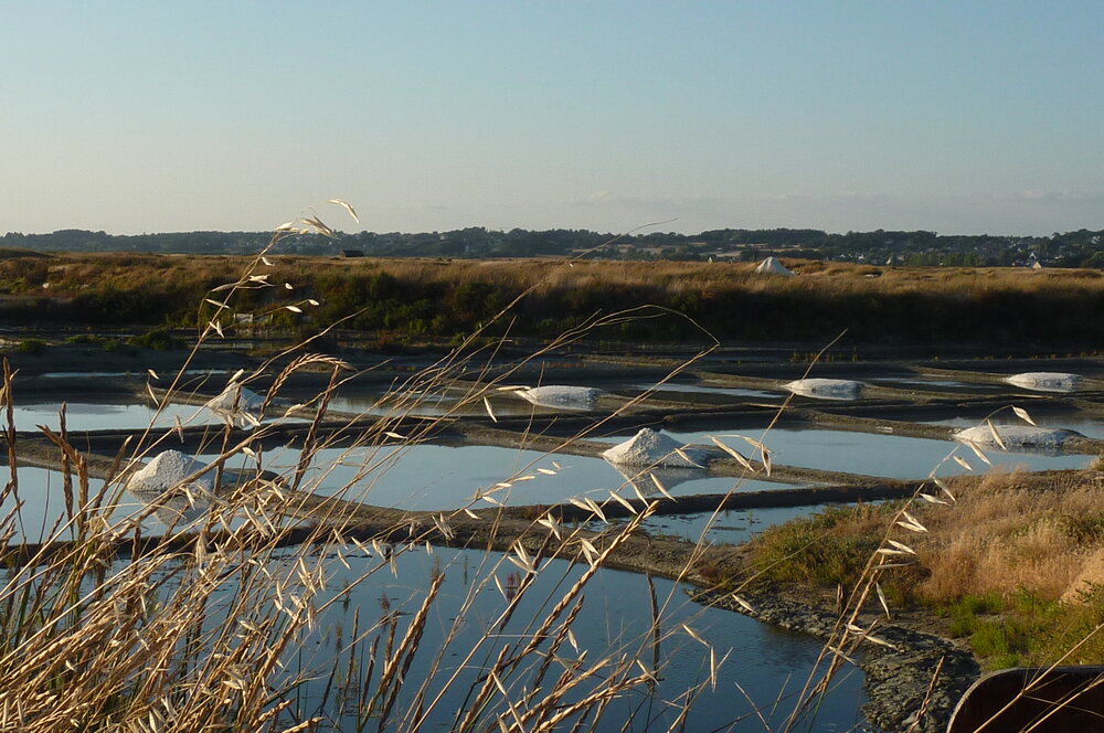 Le Sel de Guérande